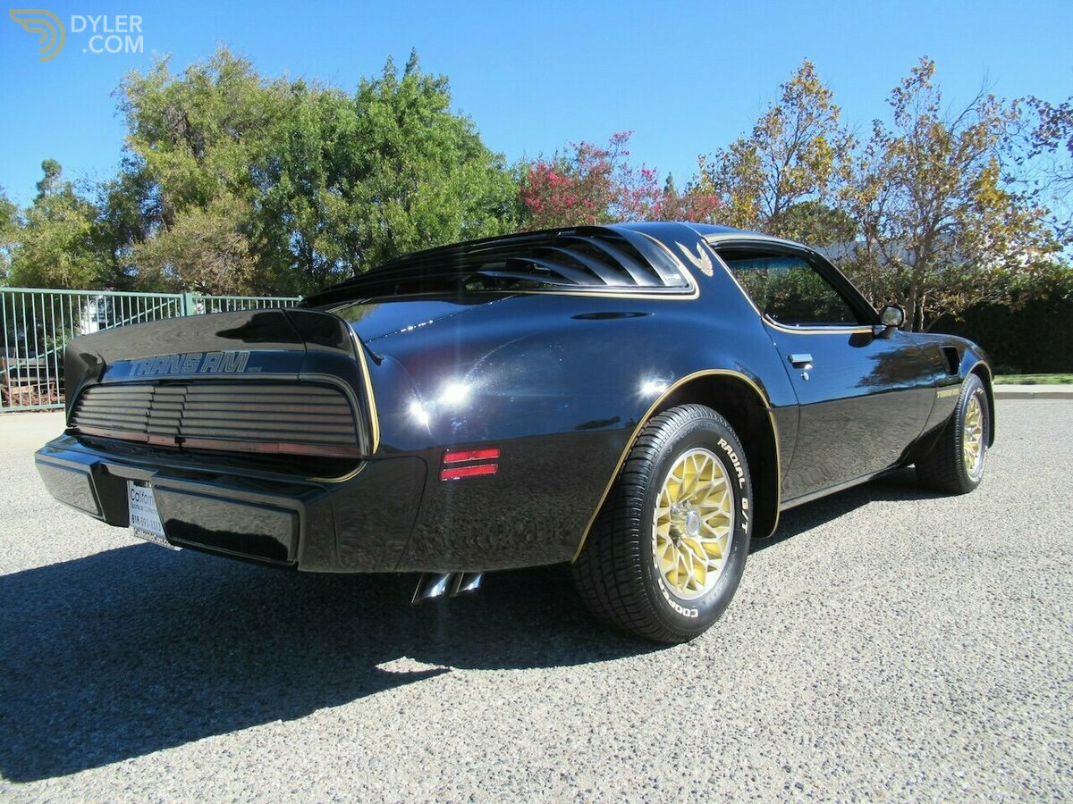 1979 Pontiac Firebird Trans Am, foto 2