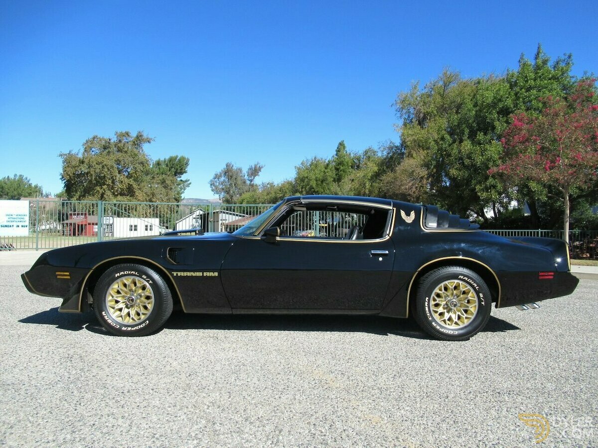 1979 Pontiac Firebird Trans Am, foto 3