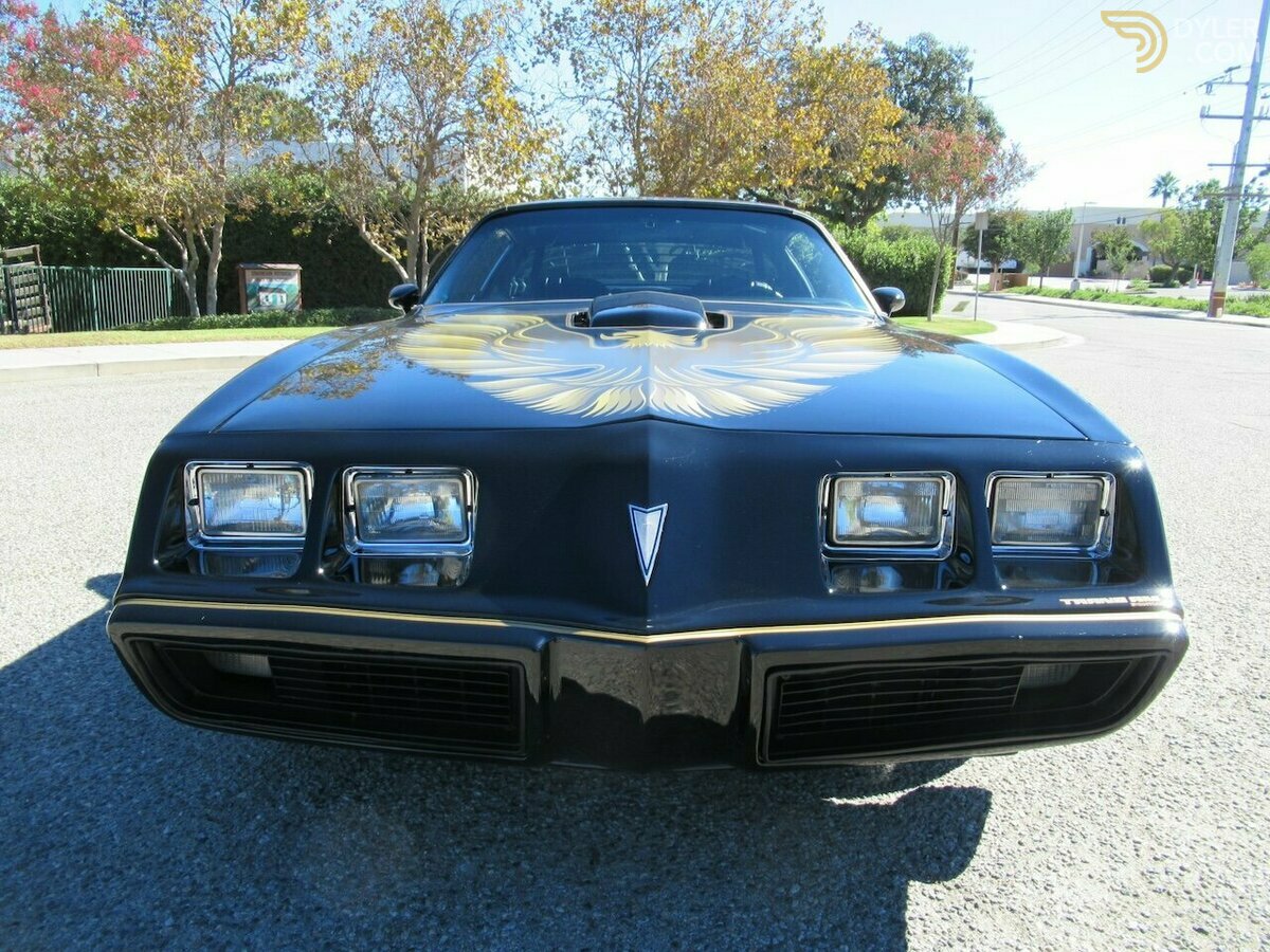 1979 Pontiac Firebird Trans Am, foto 5