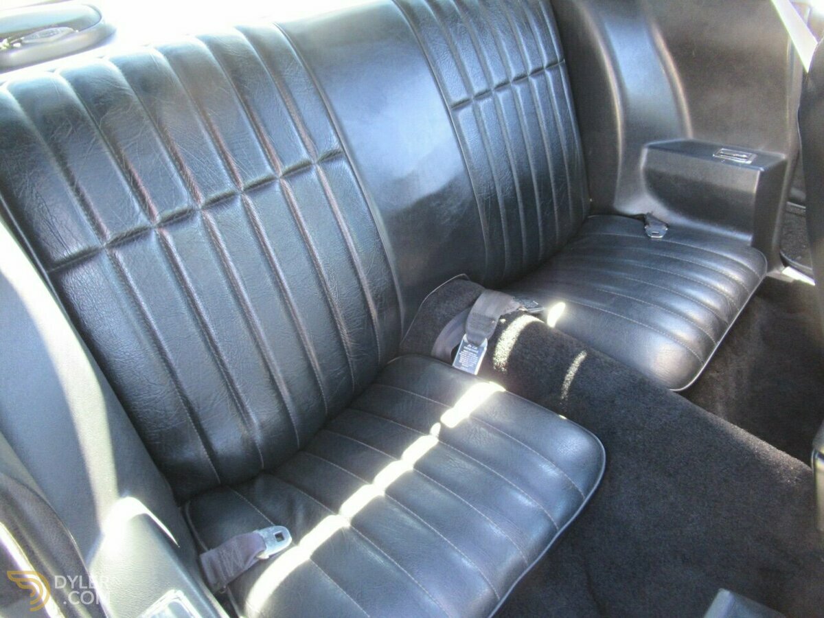 1979 Pontiac Firebird Trans Am, foto 7
