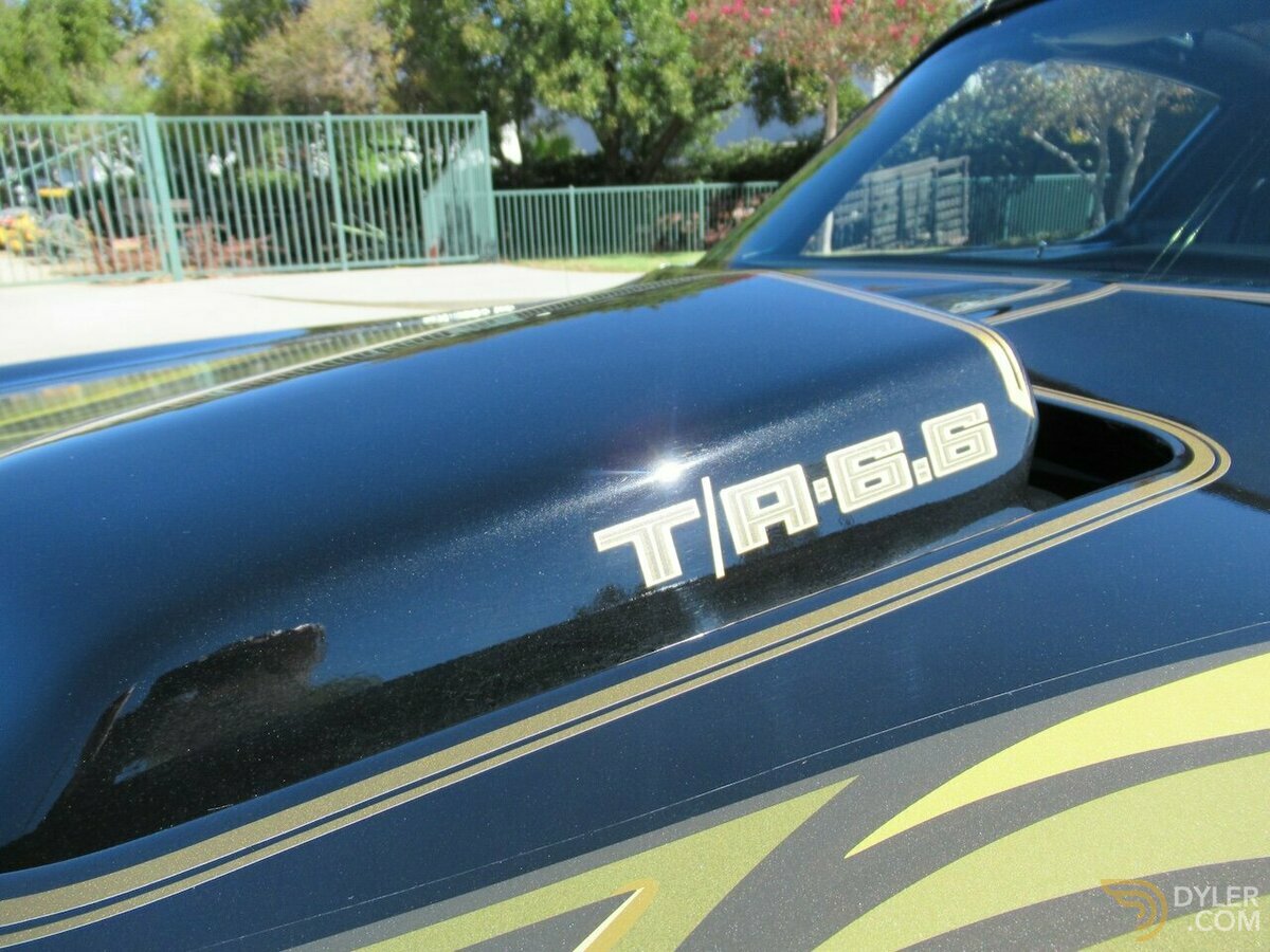 1979 Pontiac Firebird Trans Am, foto 11
