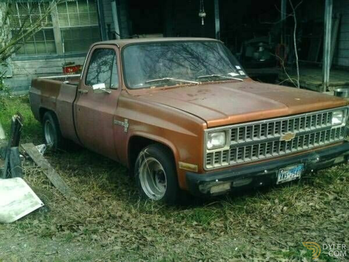 1981 Chevrolet SWB, foto 1