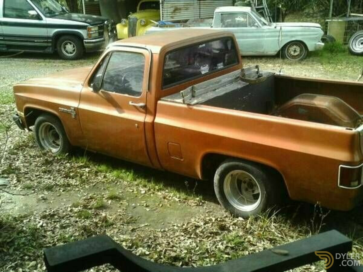 1981 Chevrolet SWB, foto 2