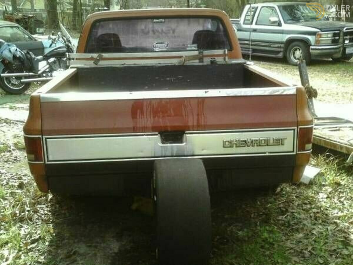 1981 Chevrolet SWB, foto 5