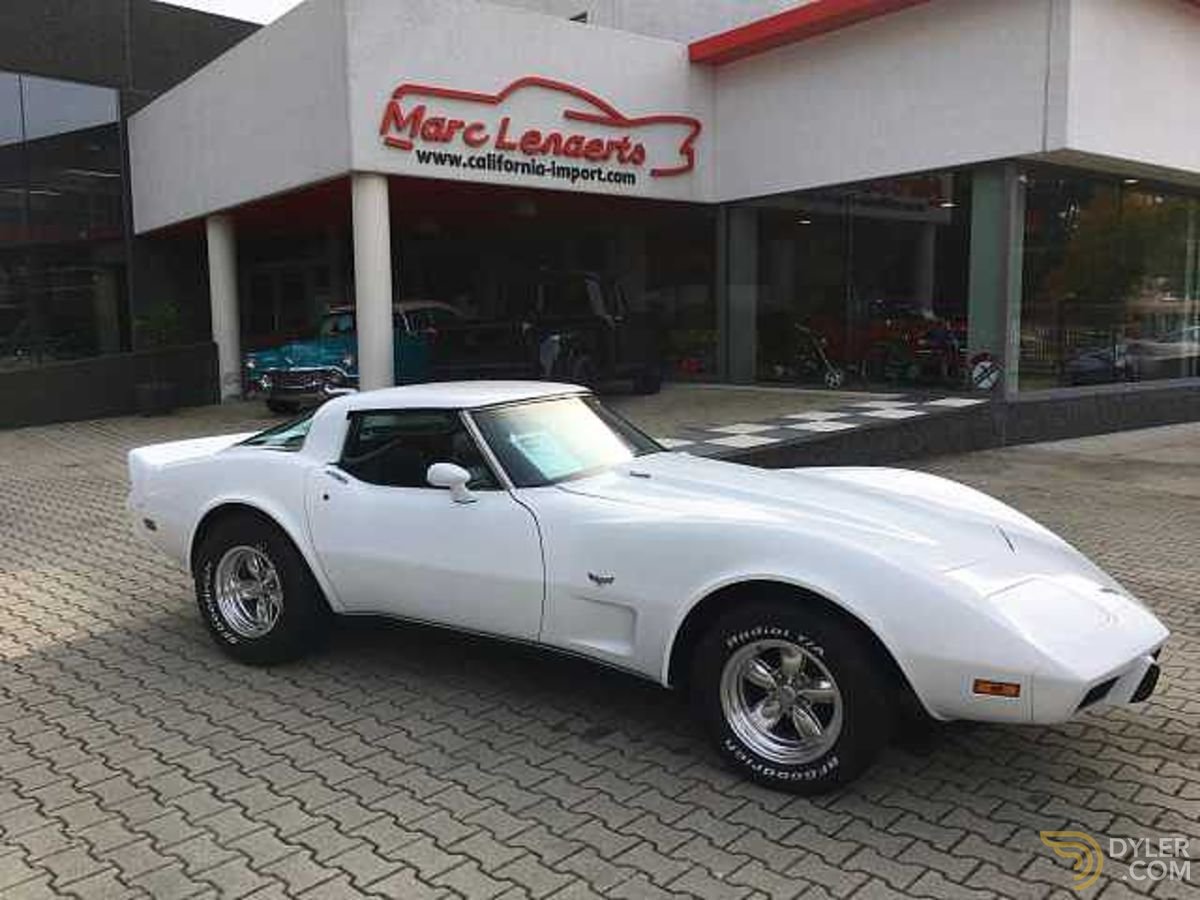 Classic 1979 Chevrolet Corvette C3 for Sale Dyler