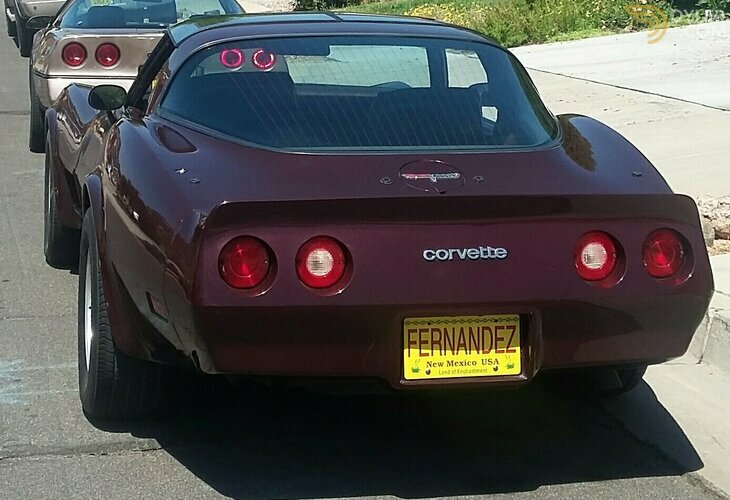 Corvette Stingray 1980 Rear