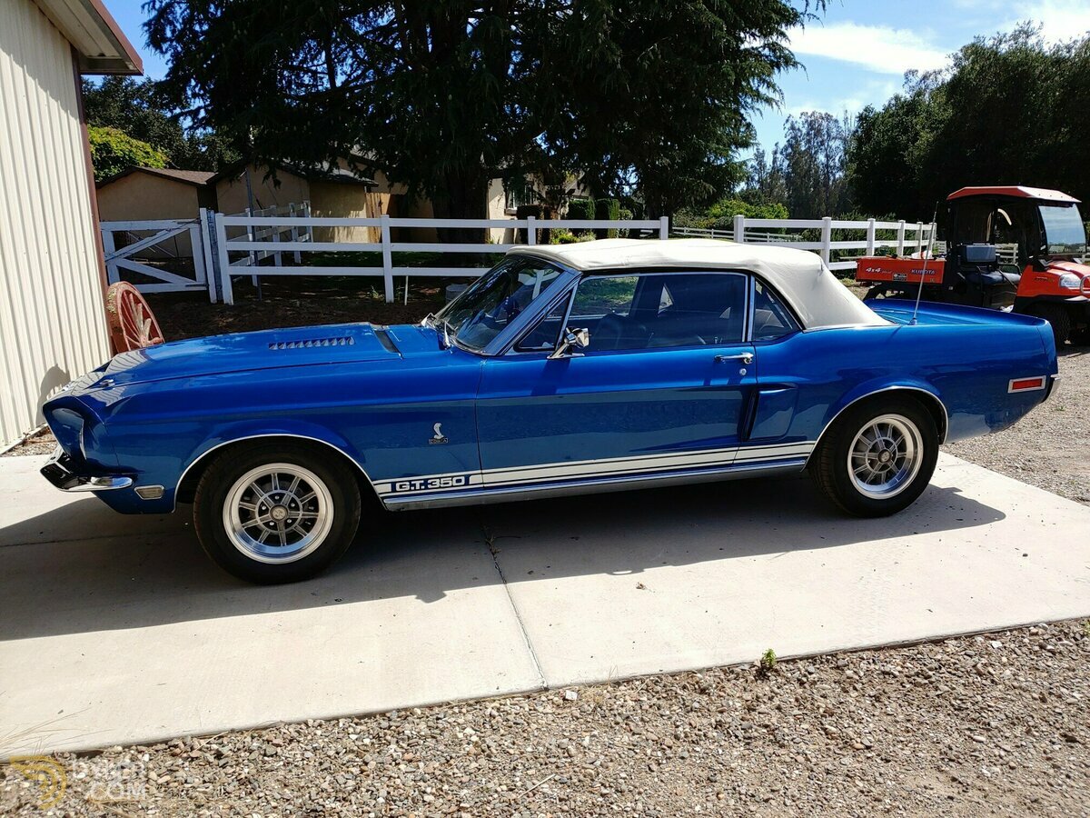 1968 Ford Shelby, foto 6