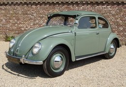 Volkswagen Beetle Käfer Type 1 Splitwindow Hatchback 1951 Green Volkswagen Beetle Käfer Type 1 Splitwindow Hatchback 1951 Green Car for Sale. 413425