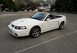 Ford Mustang SVT Cobra Convertible Cabriolet / Roadster 2003 White Ford Mustang SVT Cobra Convertible Cabriolet / Roadster 2003 White Car for Sale. 313935