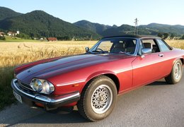 Jaguar XJS 5.3 V12 Cabrio Cabriolet / Roadster 1983 Red Jaguar XJS 5.3 V12 Cabrio Cabriolet / Roadster 1983 Red Car for Sale. 294853