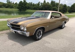 Chevrolet Chevelle Coupe 1970 Gold Chevrolet Chevelle Coupe 1970 Gold Car for Sale. 359383