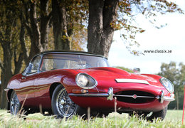 Jaguar E-Type Series 1 Flatfloor Cabriolet / Roadster 1961 Red Jaguar E-Type Series 1 Flatfloor Cabriolet / Roadster 1961 Red Car for Sale. 339301