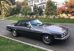 Jaguar XJ SC V12 Special Edition Coupe 1986 Grey Jaguar XJ SC V12 Special Edition Coupe 1986 Grey Car for Sale. 242444