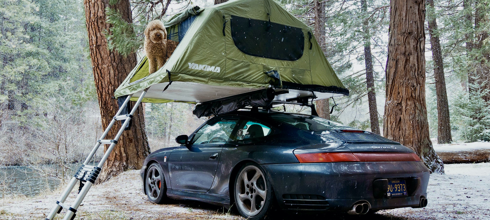 Scopri l'Uomo e il Suo Cane che Stanno Usando la Loro Porsche 996 per Dimostrare al Mondo che non Serve un Grosso SUV per Esplorare i Grandi Spazi Aperti