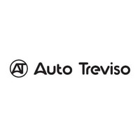 AUTO TREVISO SRLS