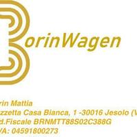 BorinWagen